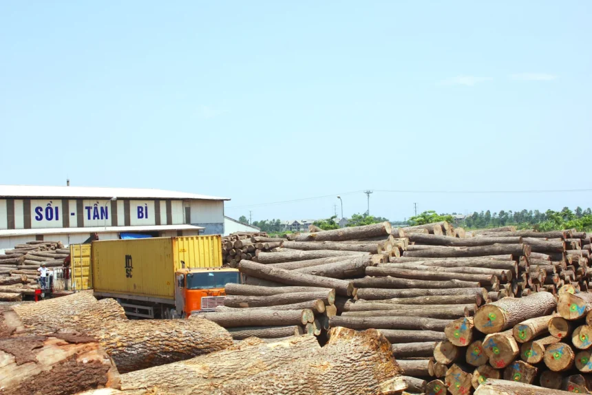 Gỗ Tròn Tần Bì